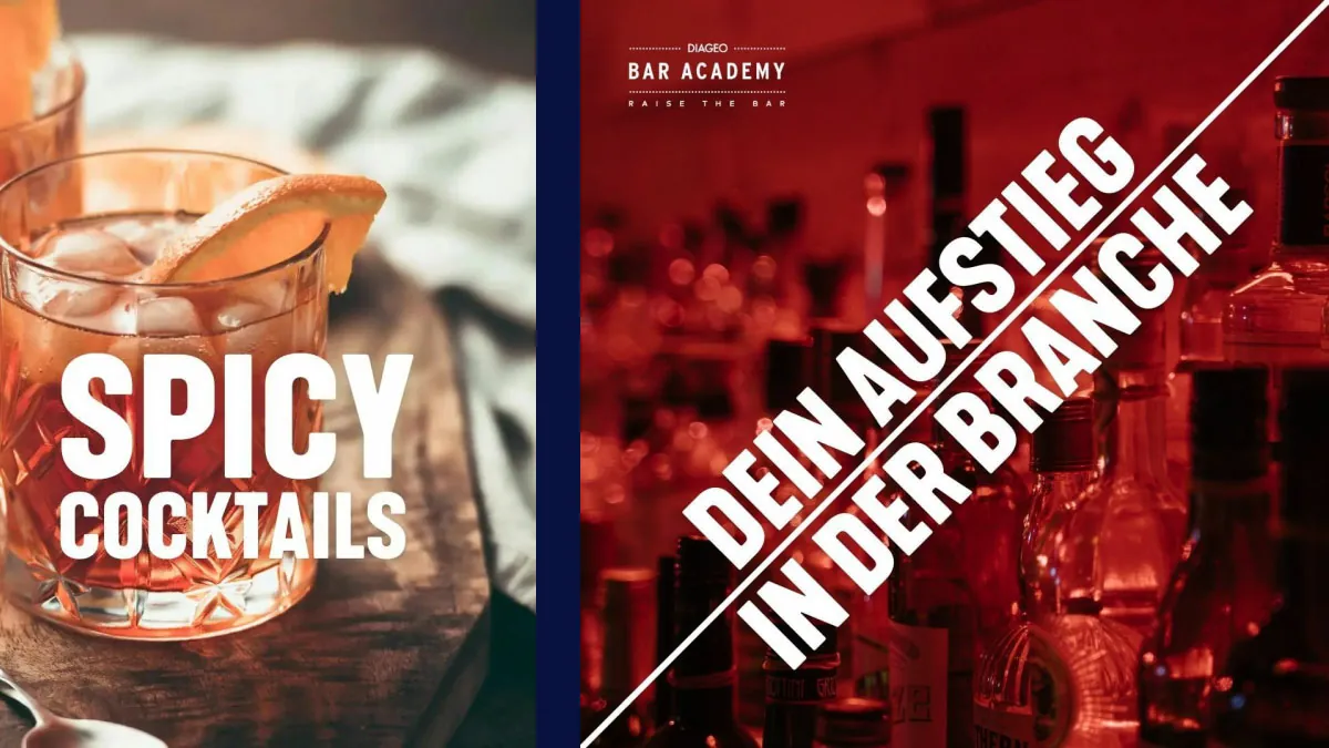 Drei quadratische Social-Media-Posts der Diageo Bar Academy mit Cocktail-Content: ein Espresso Martini in der Coupe mit dem Titel „Der perfekte Espresso Martini", ein rosafarbener Clover Club mit Himbeeren und Bar-Academy-Logo, sowie Whisky-Highball-Cocktails mit Zitrone und dem Titel „Grossartige Whisky Cocktails" – durchgängig im markentypischen Foto- und Typografie-Stil.