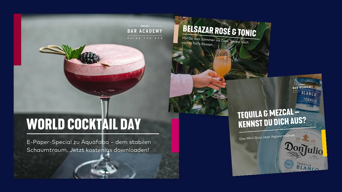 Zwei Social-Media-Posts der Diageo Bar Academy: links ein Negroni-Style Cocktail im Kristallglas mit Orangenscheibe und dem Titel „Spicy Cocktails", rechts ein rotgetönter Bar-Hintergrund mit Spirituosenflaschen und dem diagonalen Schriftzug „Dein Aufstieg in der Branche" – ein Career-Content-Post im Bar-Academy-Branding.